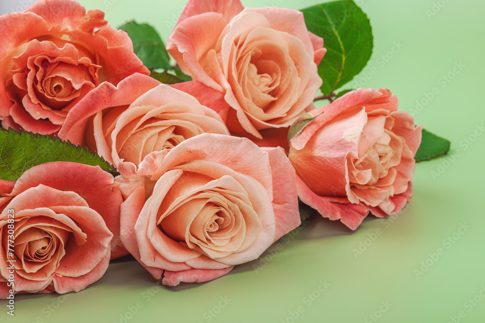 A bouquet of roses in vase on a pastel green background. Blooming flowers, festive concept A bouquet of roses in vase on a pastel green background. Blooming flowers, festive concept