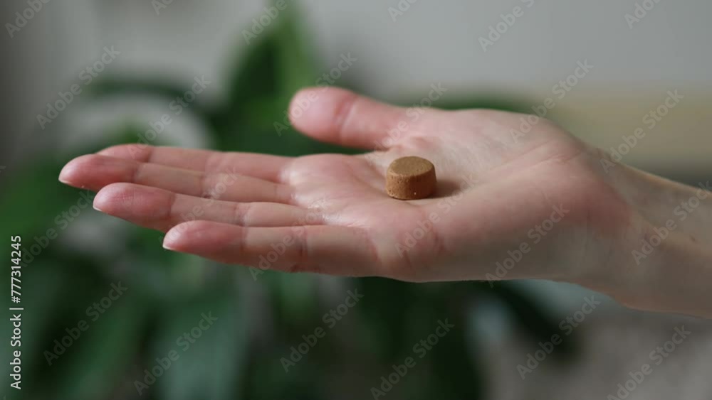 Close-up of a chewable dog or cat pill in the palm of your hand. Veterinary remedy for parasites Close-up of a chewable dog or cat pill in the palm of your hand. Veterinary remedy for parasites