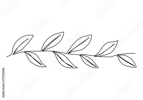 Branch with leaves, one line drawing vector illustration. © Anastasiya