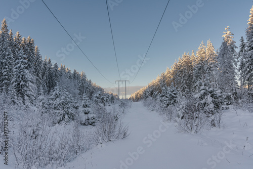 Powerlines and a small countryside road in winter sunlight