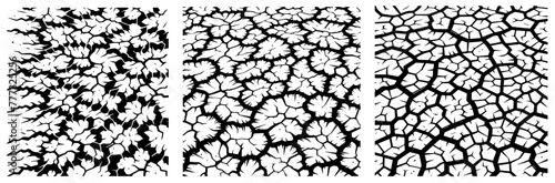 cracked earth geometric pattern  black and white abstract background  laser-cut colorless contour  decorative print with transparent texture