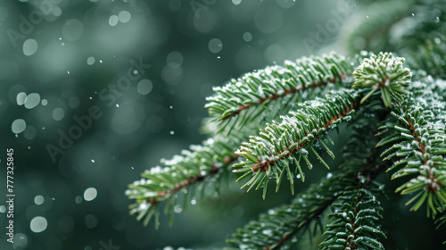 Delve into the festive spirit with Christmas snowy fir tree branches. AI generative wonder