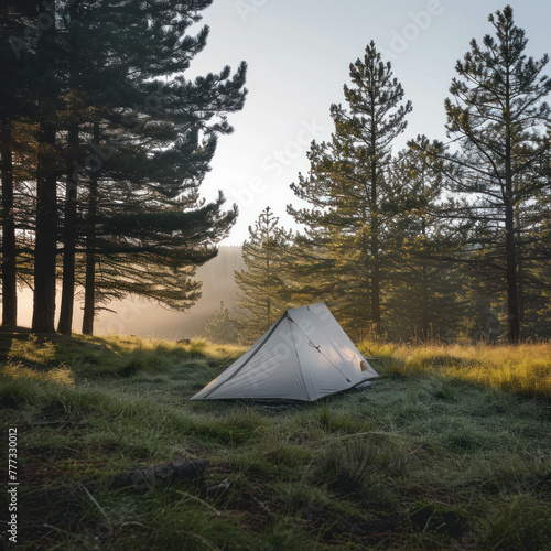 Discover serenity in nature at a minimalist campsite, where a reflective DuPont™ Tyvek® tent stands amidst misty pine trees, illuminated by soft morning light. AI generative. photo