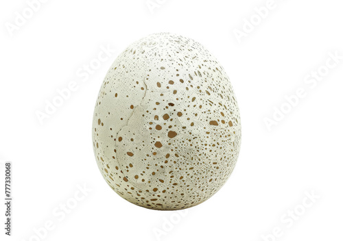 Exploring the Ostrich Eggshell On Transparent Background.