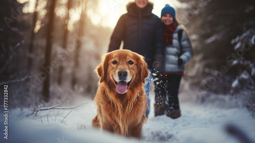 Full length portrait of happy couple family walking brown dog in beautiful winter forest at sunrise. Hiking with akita-inu puppy pet concept, Christmas happy family,mother and son walking with dog.