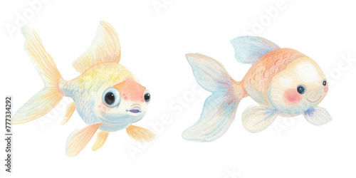 cute goldfish watercolor vector illustration photo