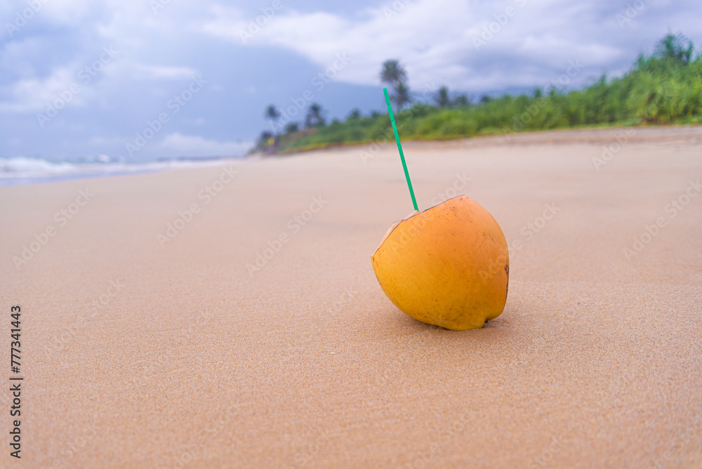 A small, unpeeled coconut sits on the sand at the beach. Concept of relaxation and leisure, as the beach setting and the presence of the coconut suggest a laid-back atmosphere A small, unpeeled coconut sits on the sand at the beach. Concept of relaxation and leisure, as the beach setting and the presence of the coconut suggest a laid-back atmosphere