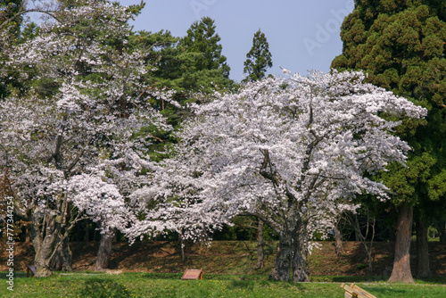 清川陣屋 photo