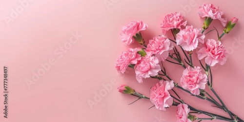 Pink Carnation Bouquet on Pastel Pink Greeting Card Background for Mother's Day, Valentine's Day, Easter and Birthdays with Text Copy Space