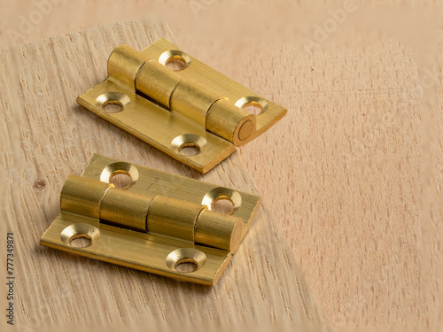 close up of a pair of small drawn brass butt hinges