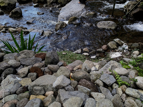 dark moody nature : beautiful natural scenery in the rocky river. Small river flow through the rocky riverside. fresh clear water running through the rocky creek surrounded by tropocal plants.