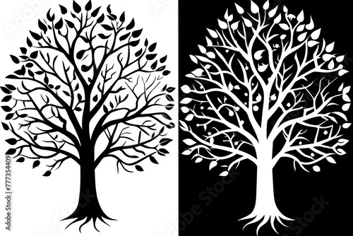 set of silhouettes & seasonal-backgrounds-winter-summer-tree-four-seaso vector illustration photo