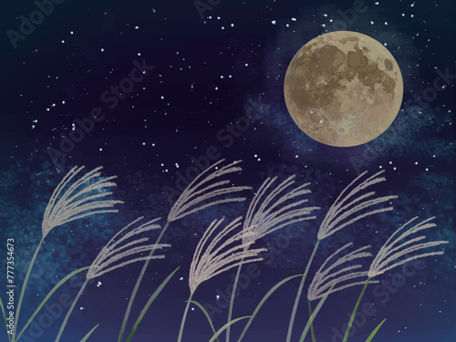 夜空と月とススキ_横