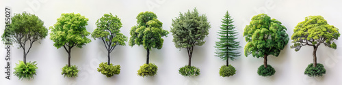  green trees isolated on a white background, 