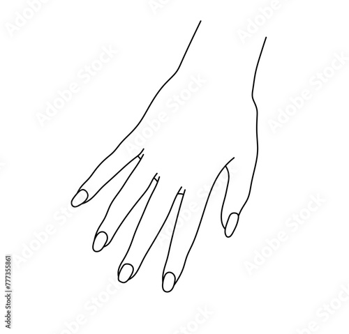Vector isolated one simple woman hand with nails template colorless black and white contour line easy drawing