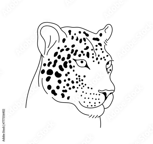 Vector isolated one single leopard head face portrait muzzle colorless black and white contour line easy drawing