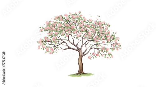 Tulip Tree remove background tree, watercolor, isolated white background