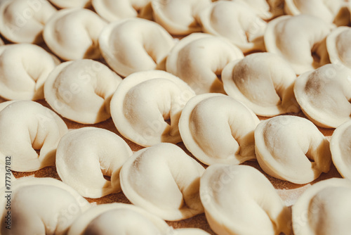 Prepared meat dumplings or pelmeni lying in rows