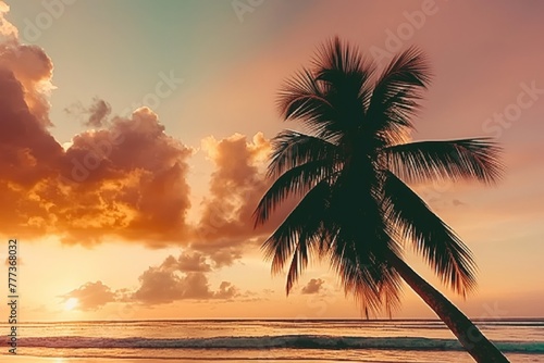 Tropical sunset silhouette with palm tree