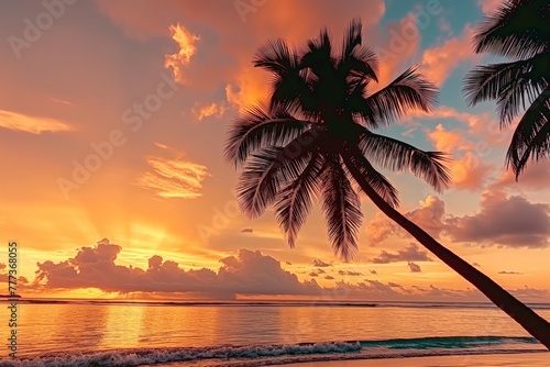 Tropical sunset silhouette with palm trees
