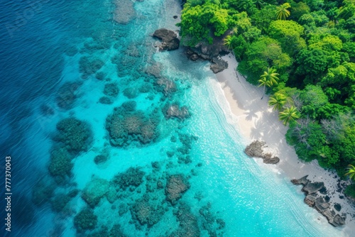 An aerial view of a beach with trees and water, AI © starush