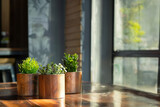 3 vases en bois avec des plantes vertes, en pot sur une table en bois dans une cuisine devant la fenêtre. Végétalisation de l'intérieur des maisons.