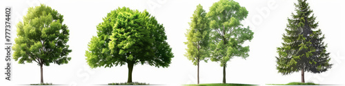  green trees isolated on a white background, 