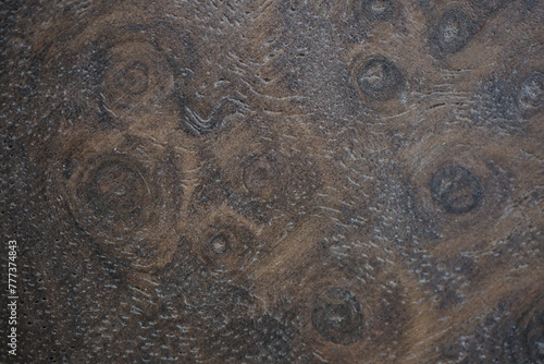 Brown natural wood inlay texture extreme close-up on a car door panel photo