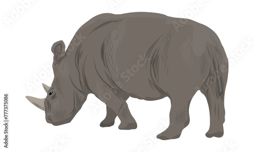 African white rhinoceros. Realistic vector animal