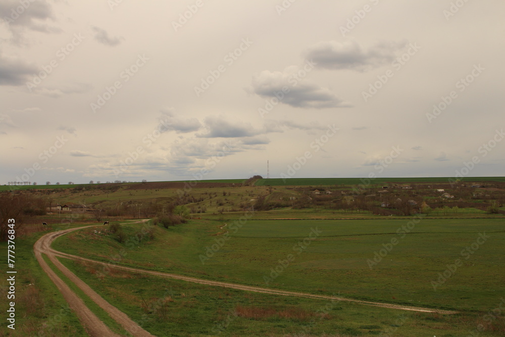 Fototapeta premium A road with grass and dirt on it