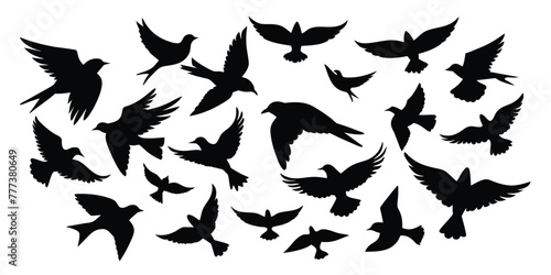 Flying Different Type of Birds silhouette with wings on white background