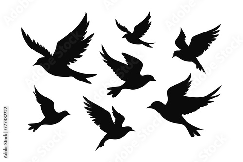 Flying Different Type of Birds silhouette with wings on white background