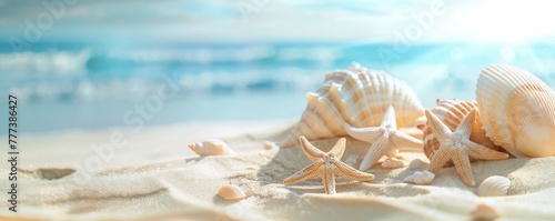 Beach with starfish and shells on the white sand, blurred background of sea or ocean. summer vacation concept © MSTSANTA