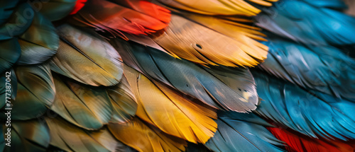 Wallpaper Mural Vivid array of colorful feathers, a soft texture pattern in a spectrum of hues Torontodigital.ca
