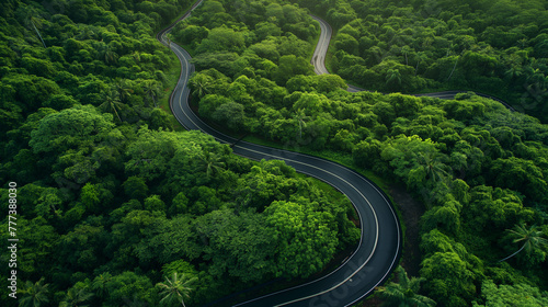 winding road among greenery and mountains
