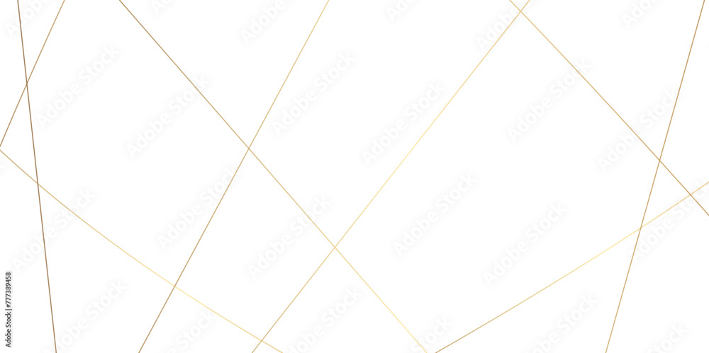 Abstract colorful line luxury background template. geometric pattern squares and triangle shape. geometric random chaotic lines background. colorful outline monochrome texture vector illustration.
Abstract colorful line luxury background template. geometric pattern squares and triangle shape. geometric random chaotic lines background. colorful outline monochrome texture vector illustration.