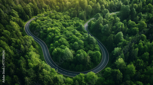 winding road among greenery and mountains