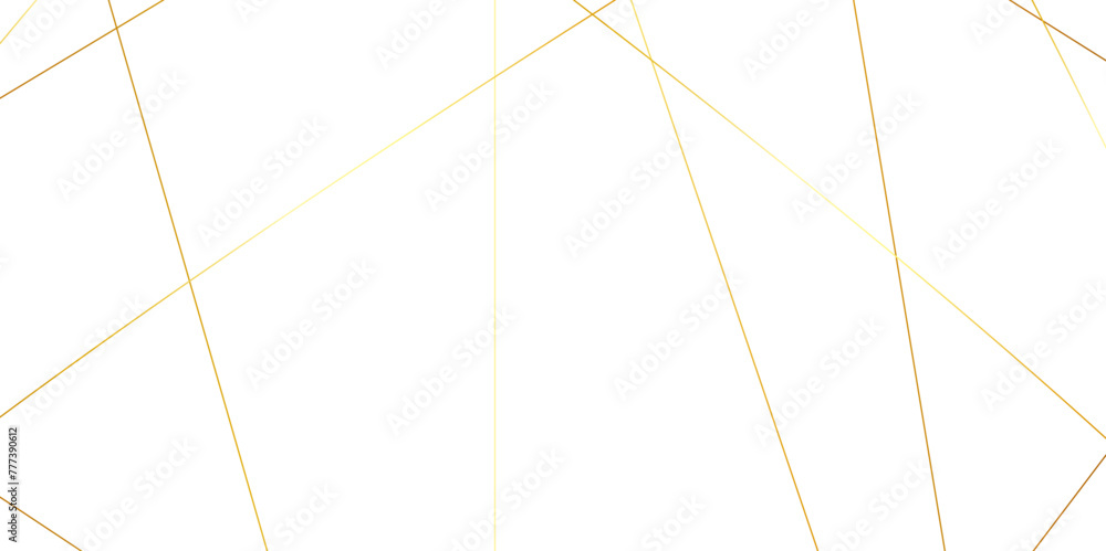 Abstract colorful line luxury background template. geometric pattern squares and triangle shape. geometric random chaotic lines background. colorful outline monochrome texture vector illustration.
Abstract colorful line luxury background template. geometric pattern squares and triangle shape. geometric random chaotic lines background. colorful outline monochrome texture vector illustration.