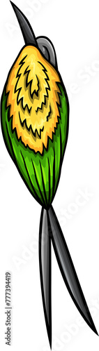 Cute Pennant-tailed hummingbird bird funny cartoon clipart illustration (ID: 777394419)