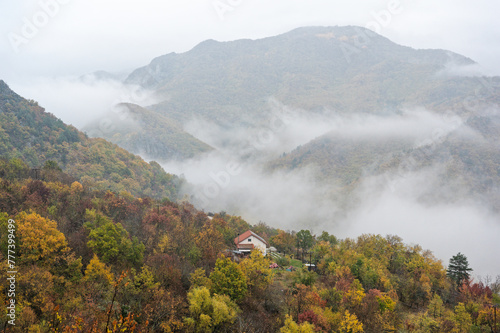 Autumn foliage photo