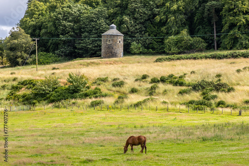 Grazing brown horse on a green grass meadow fringing on woodland forest in front of ancient, old tower, turret made from basalt stones in Scotland, Europe