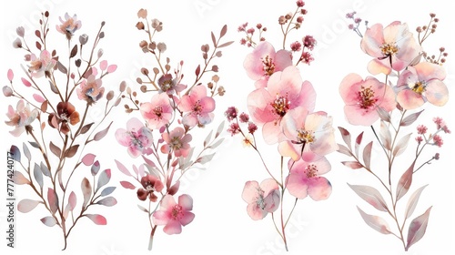 Pink watercolor arrangements of flowers  set  bundle  bouquet with wildflowers  leaves  branches. Illustration of botanicals.