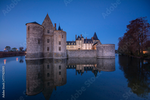Famous medieval castle Sully sur Loire, Loire valley, France. photo