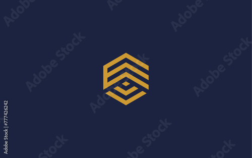 letter ev with hexagon logo icon design vector design template inspiration