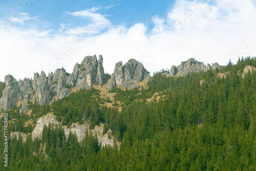 Beautiful mountain landscape. Rocky peaks and spruce forest.