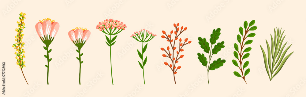 Set of floral design elements. Leaves, flowers, branches, grass. Botanical vector illustration isolated on white background. - obrazy, fototapety, plakaty 