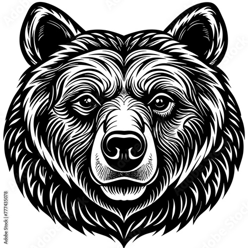head of a wolf Silhouette Graphics Vector Illustration, head of a tiger Line Art,tiger Svg t shirts Design, Laser Cut File Cricut, Paper Cut and Printing, tiger  face Svg,lion For Kids Bundle