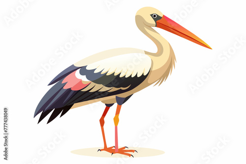 Painted stork vector with white background.
