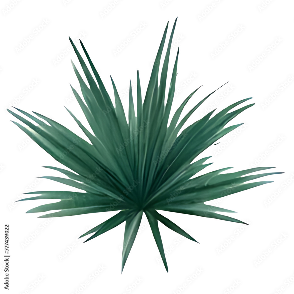 Jungle Tree and Leafs Watercolor Clipart Jungle Tree and Leafs Watercolor Clipart