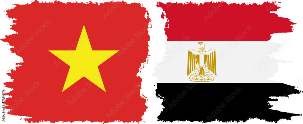 Egypt and Vietnam grunge flags connection vector Egypt and Vietnam grunge flags connection vector